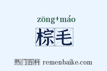 棕毛是什么意思的图片
